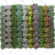 Succulent Plants (32 Pack) | $45 | Amazon
